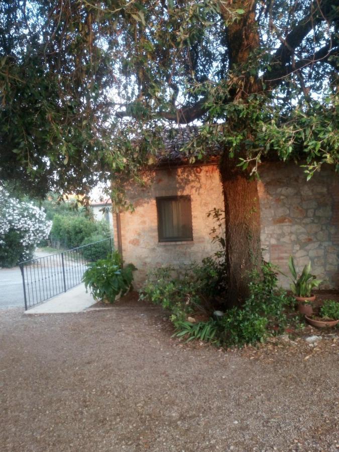 Case Cordovani Magliano in Toscana Εξωτερικό φωτογραφία