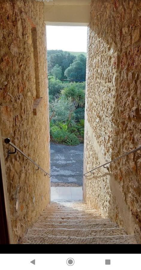 Case Cordovani Magliano in Toscana Εξωτερικό φωτογραφία