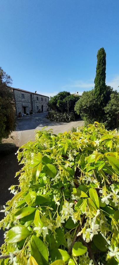 Case Cordovani Magliano in Toscana Εξωτερικό φωτογραφία