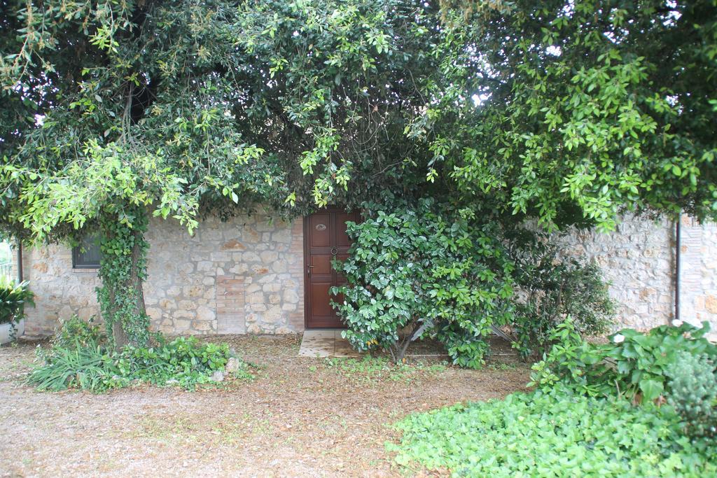 Case Cordovani Magliano in Toscana Εξωτερικό φωτογραφία
