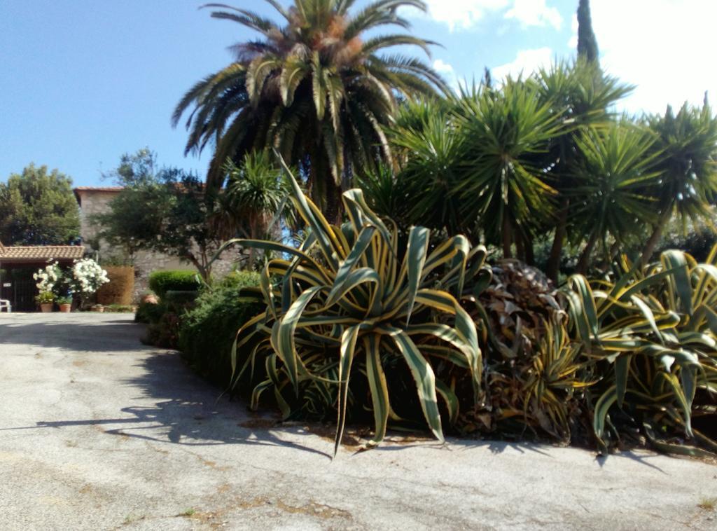 Case Cordovani Magliano in Toscana Εξωτερικό φωτογραφία