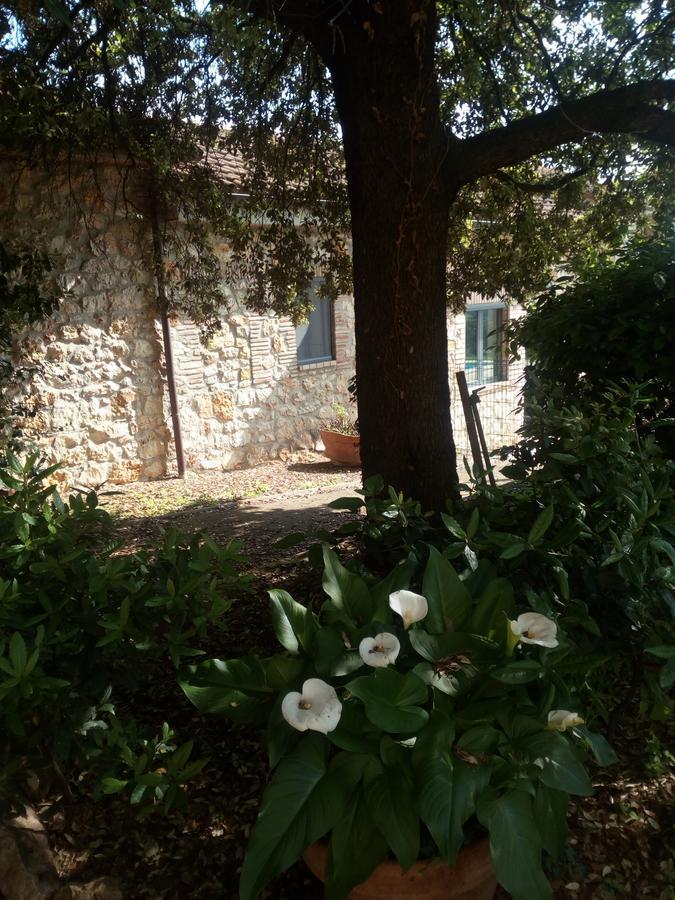 Case Cordovani Magliano in Toscana Εξωτερικό φωτογραφία