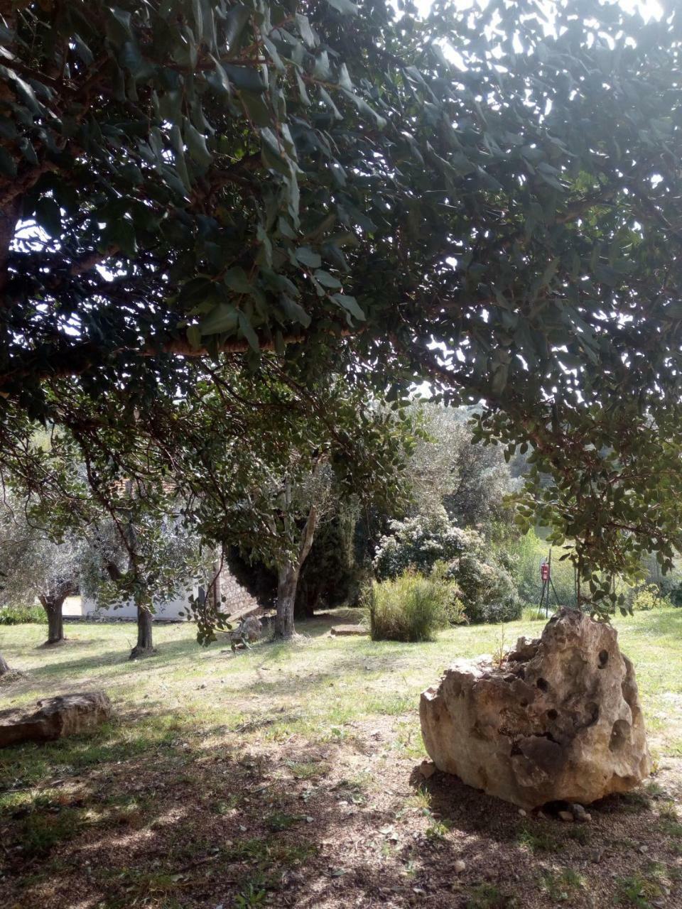 Case Cordovani Magliano in Toscana Εξωτερικό φωτογραφία