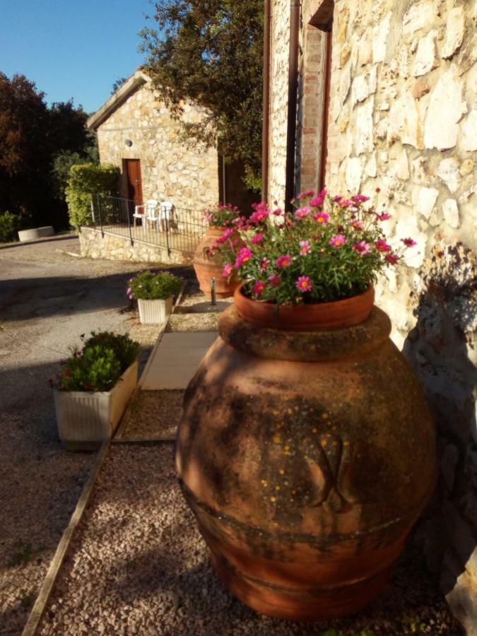 Case Cordovani Magliano in Toscana Εξωτερικό φωτογραφία